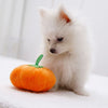 Dog Sounding Pumpkin Plush Toy - Thamaras